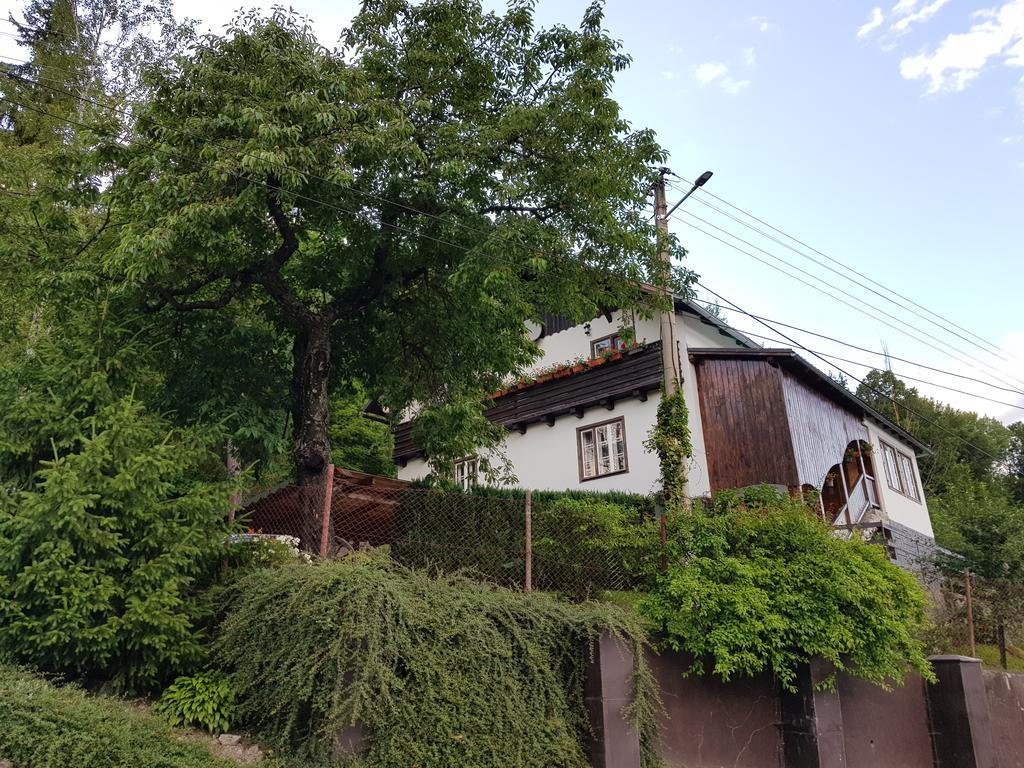 Drevenica Spanka Špania Dolina Εξωτερικό φωτογραφία
